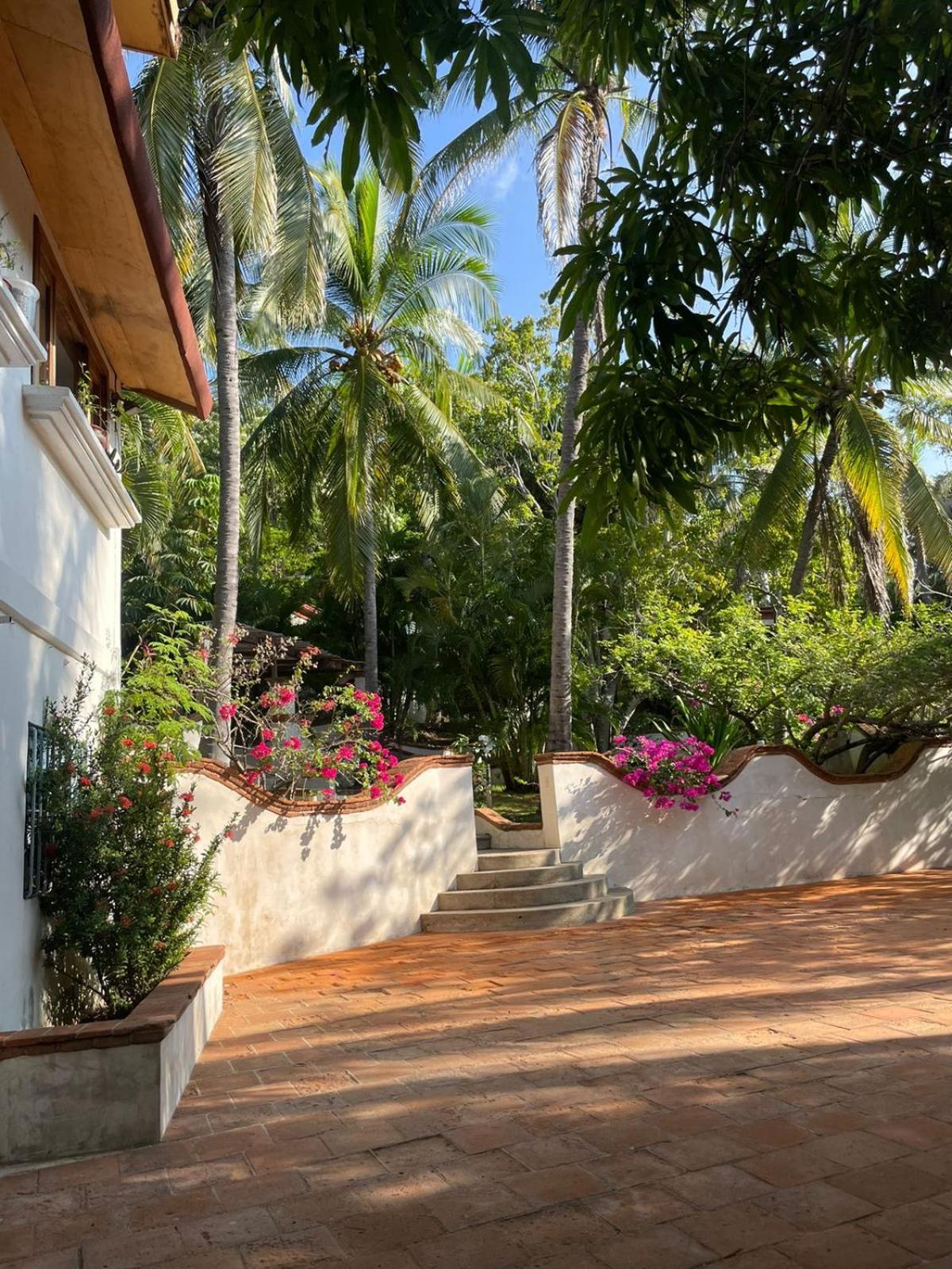 Casa Flor De Mar Hotel ซิโปไลต์ ภายนอก รูปภาพ