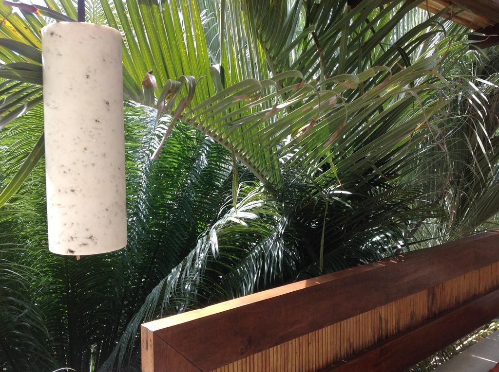 Casa Flor De Mar Hotel ซิโปไลต์ ภายนอก รูปภาพ