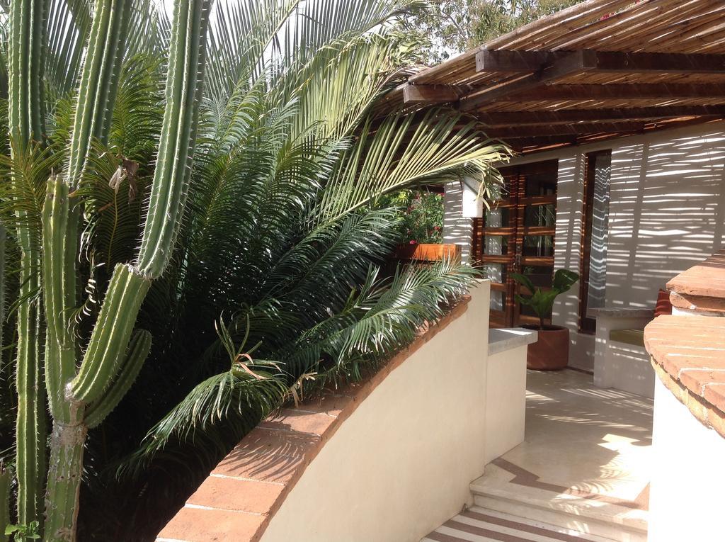 Casa Flor De Mar Hotel ซิโปไลต์ ภายนอก รูปภาพ