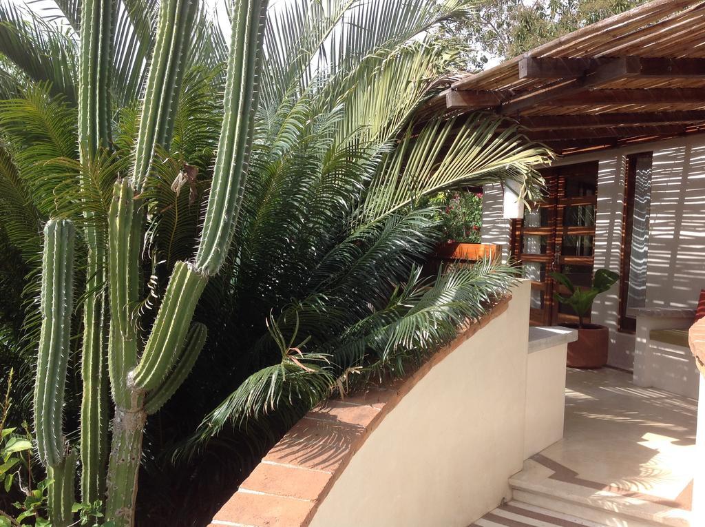 Casa Flor De Mar Hotel ซิโปไลต์ ภายนอก รูปภาพ